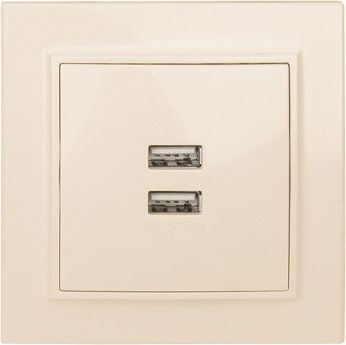 Розетка USB Type A 2 поста EKF Минск бежевый, фотография