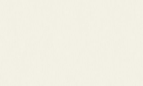 ОБОИ виниловые ERISMANN Basic Etel  60980-03 1,06х10,05м, вид