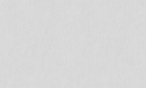 ОБОИ виниловые ERISMANN Basic Etel  60980-05 1,06х10,05м, изображение