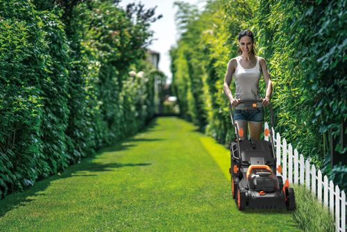 Газонокосилка аккумуляторная WORX 40В 34см 4Ач, 2 акб+з/у, wg779e.1, вид