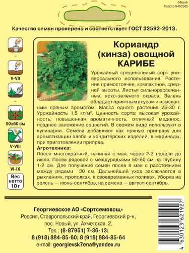 Семена кориандр карибе 10 г, изображение