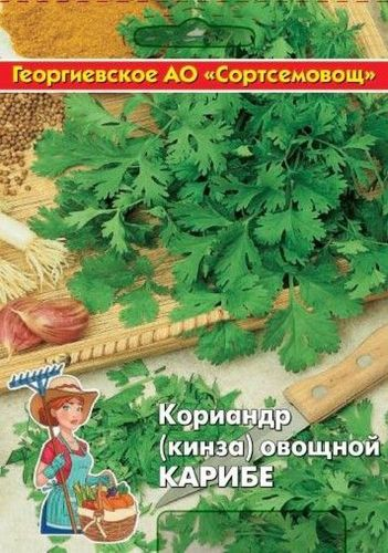 Семена кориандр карибе 10 г, фото