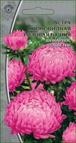 Семена Астра пионовидная Розовая башня 0,2 гр, вид