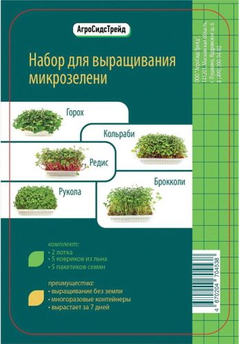 Набор для выращивания микрозелени 5 в 1 Рукола, Брокколи, Кольраби, Горох, Редис АСТ, детальное фото