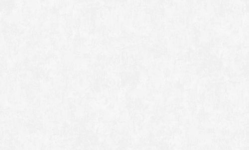 Виниловые обои ERISMANN 10,05Х1,06м SPECTRAL COLOR 60624-01, картинка