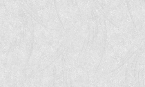 Виниловые обои ERISMANN 10,05Х1,06м BENEFIT ROCK 60429-05, фото