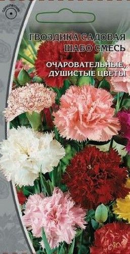 Семена гвоздика шабо смесь 0,2 г, вид