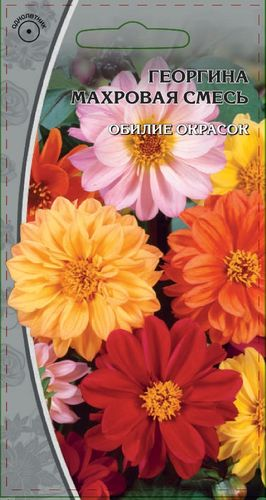 Семена  Георгина Махровая смесь 0,3 гр, фотография