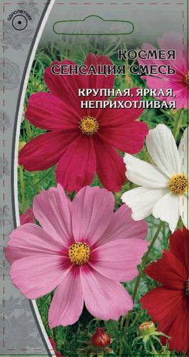 Семена Космея Сенсация смесь 0,5 гр, вид