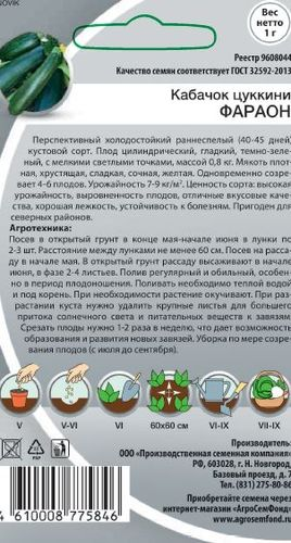 Семена Кабачка Цукинни Фараон, 1г, крупный план