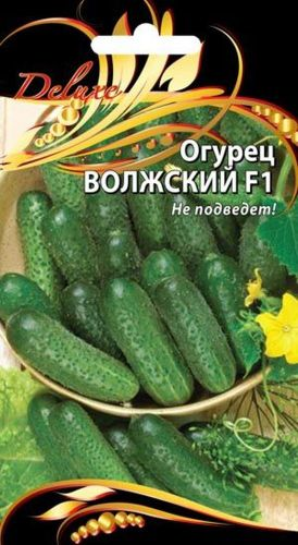 Семена Огурца Волжский F1 0,2 г, крупный план