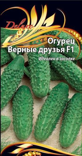 Семена Огурца Верные друзья F1 0,25 г, картинка