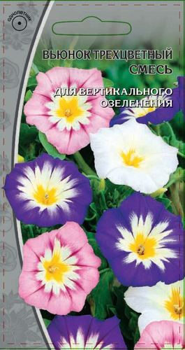 Семена Вьюнок трехцветный  смесь 0,5 гр, детальное фото