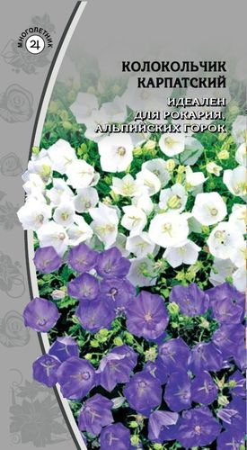 Семена Колокольчик Карпатский смесь 0,1 гр, изображение