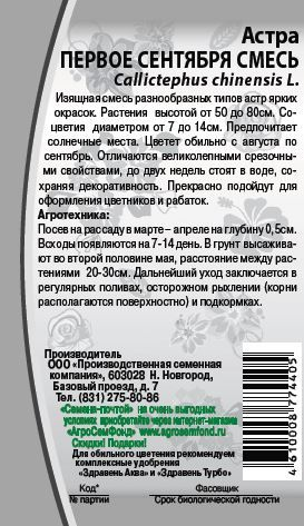 Семена Астра Первое сентября 0,2 гр, крупный план
