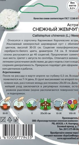 Семена Астра Снежный жемчуг 0,2 гр, картинка