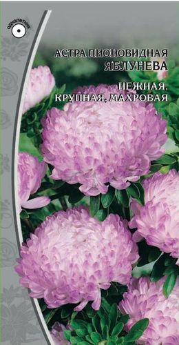 Семена Астра Яблунева 0,2 гр, фотография