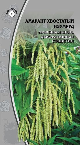 Семена Амарант Метельчатый  Изумруд 0,1 гр, изображение