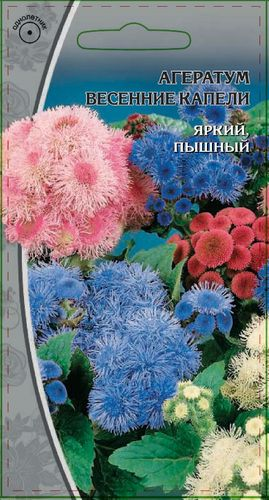 Семена Агератум Весенние капели 0,3 гр, картинка