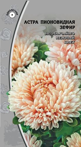 Семена Астра Зефир 0,2 гр, картинка