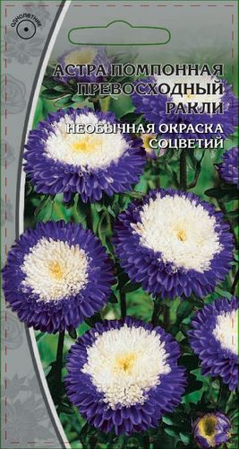 Семена Астра Превосходный Ракли 0,2г, картинка