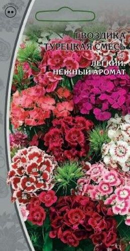 Семена гвоздика турецкая смесь 0,5 г, фото