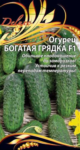 Огурец Богатая грядка F1, 0,25г, крупный план