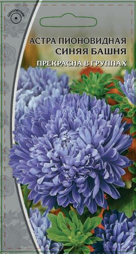Семена Астра пионовидная   Синяя  башня 0,2г, изображение