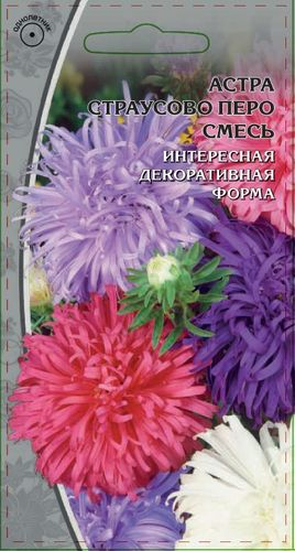 Семена Астра Страусово перо 0,2 гр, вид