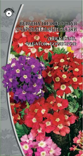 Семена Вербена Очаровательные глазки 0,2г, детальное фото