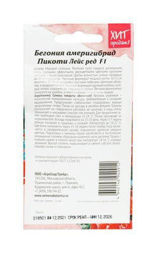 Семена бегония америгибрлэйс ред 5 шт, крупный план