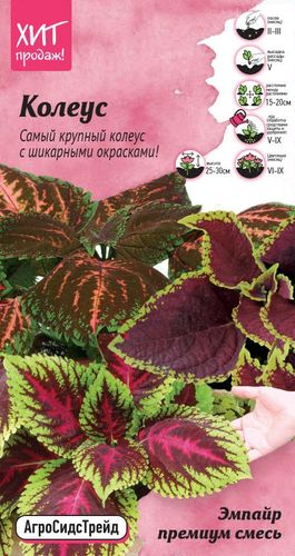 Семена Колеус премиум смесь АСТ 10 шт, картинка