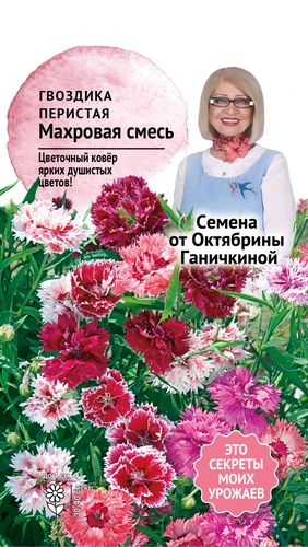 Семена Гвоздики Махровой смесь 0,1 г, крупный план