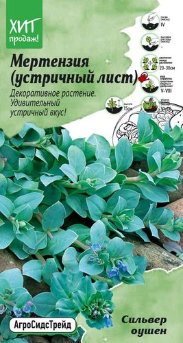 Семена Мертензия (Устричный лист) Сильвер Оушен 5шт Агросидстрейд, фотография