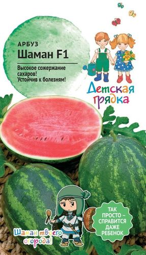 Семена АРБУЗ ШАМАН ДГ 5 ШТ, крупный план