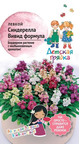 Семена Левкой Синдерелла Вивид формула смесь Детская Грядка, детальное фото
