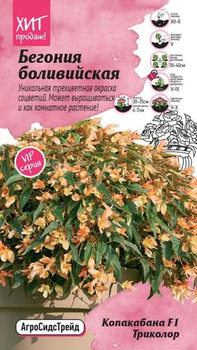 Семена БЕГОНИЯ КОПАКАБАНА АСТ 5ШТ, крупный план