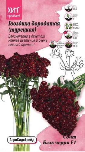 Гвоздика бородатая Свит Блэк Черри 6 шт АСТ, детальное фото