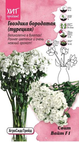 Гвоздика бородатая Свит Вайт 6 шт АСТ, вид