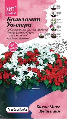 Бальзамин Уоллера Бикон Микс Кейп пайн 5 шт АСТ, крупный план
