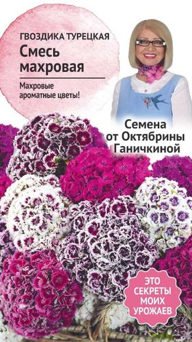 Семена Гвоздика турецкая Смесь махровая 0,2 г Семена от Октябрины Ганичкиной, фото
