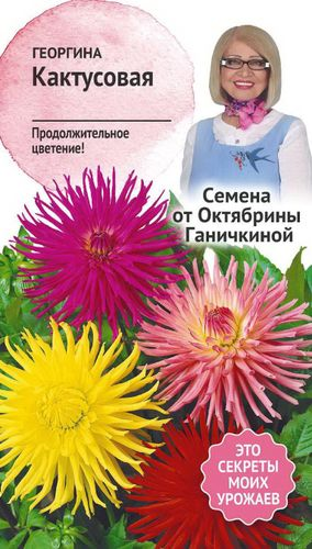 Семена Георгины Октябрина Ганичкина кактусовой 0,2 г, фото