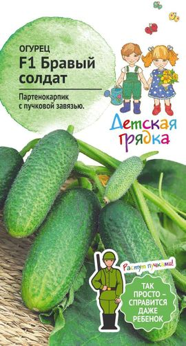 Семена Огурец Бравый солдат 0,25г  Детская грядка, вид