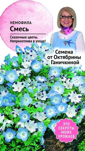 Семена Немофилы Октябрина Ганичкина Смесь 0,2 г, фотография