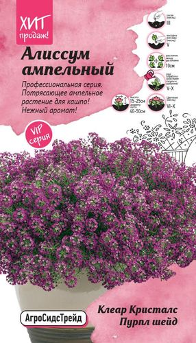 Семена Агросидстрейд Алиссум ампельный Клеар Кристалс Пурпл шейд, изображение