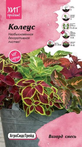 Семена Колеус Визард Смесь Агросидстрейд, детальное фото