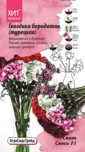 Гвоздика бородатая Свит Смесь 6 шт АСТ, фото