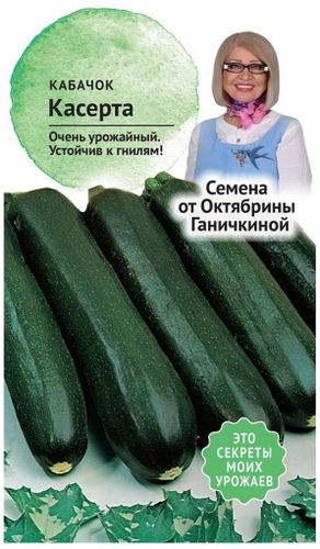 Семена Кабачка Октябрина Ганичкина Касерта 2 г, крупный план