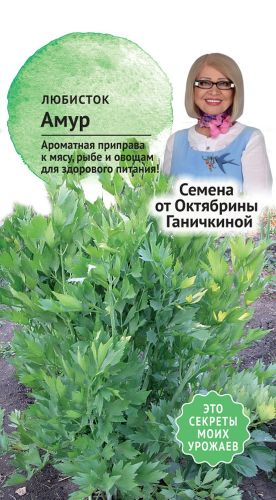 Семена Любисток Амур Семена от Октябрины Ганичкиной 0,3 гр, вид