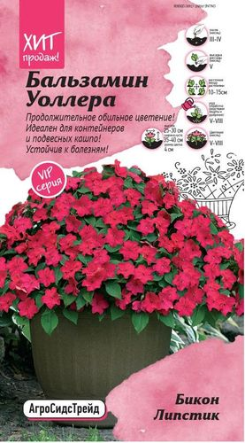 Бальзамин Уоллера Бикон Липстик 5 шт АСТ, детальное фото